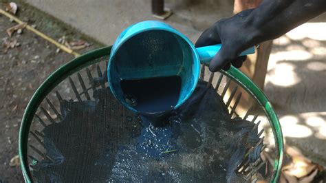 Indigo Dye — The Process from Plant to Paste