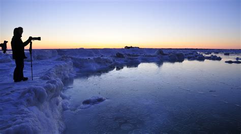 Capturing the Arctic- Meeting the Polar Bears | Canada