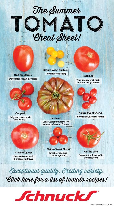 Types Of Tomatoes Vegetable | Free Hot Nude Porn Pic Gallery