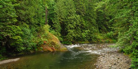 Salmon River, Old Trail - hiking in Oregon