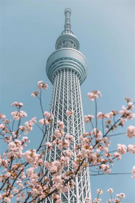 15 Coolest Things to Do in Tokyo Japan » Local Adventurer