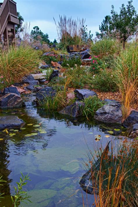 Expert Parker, CO Sustainable Landscaping Design