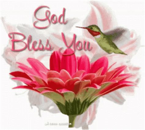 Good Day God Bless You GIF - GoodDay GodBlessYou PinkFlower - Discover & Share GIFs