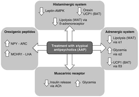 Atypical Antipsychotics Mechanism Of Action