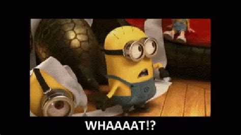 Minion Whaaat GIFs - Find & Share on GIPHY