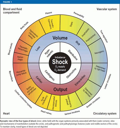 Classification of Shock Pdf