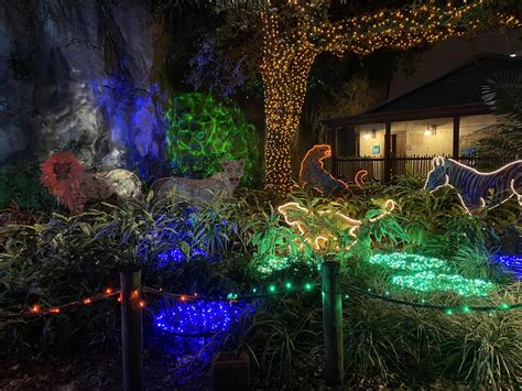 Houston Zoo Lights 2020 - The Simplywed