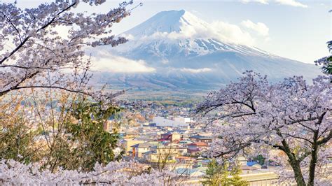 Yamanashi, Japan’s surprise up-and-coming wine region – Lonely Planet ...