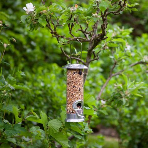 Wild Bird Seed Feeder UK – Yorkshire Trading Company