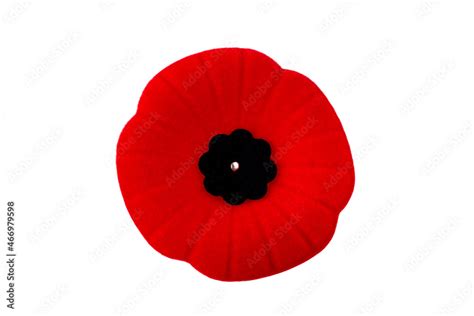 Remembrance Day November 11. Red Poppy day. Canadian soldiers. Army of ...