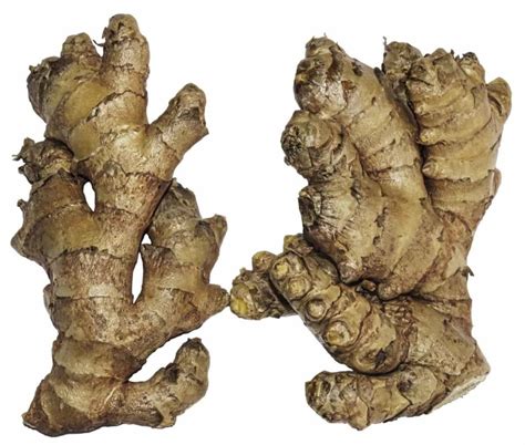 Soil Preparation for Ginger Plants: Best Soil Mix, pH, and Compost