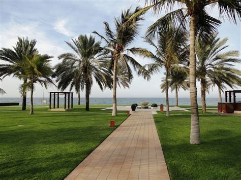 The Best Beaches to Visit in Muscat, Oman