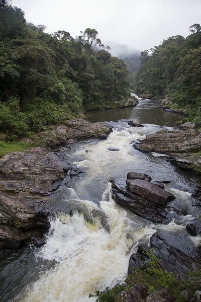 Ranomafana National Park | Travel Story and Pictures from Madagascar