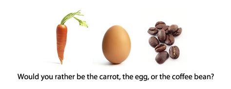 Are You a Carrot, Egg, or Coffee Bean? | Alan Wong's