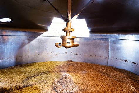 Types of Brewing Malts Guide: Everything You Need to Know - Beertannica