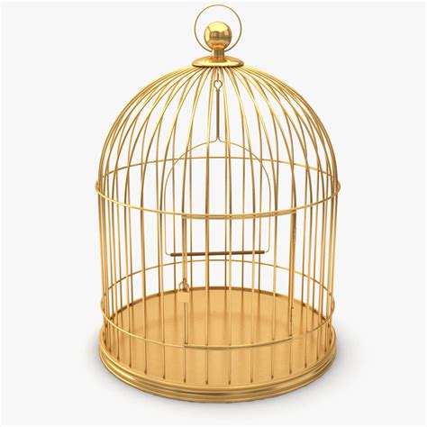 3d bird cage birdcage