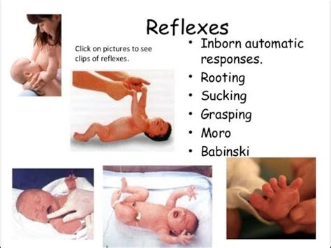 Neonatal Reflexes