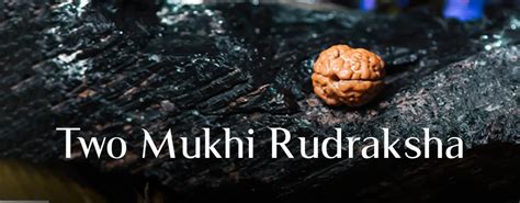 Two Mukhi Rudraksha – Everything You Need To Know!