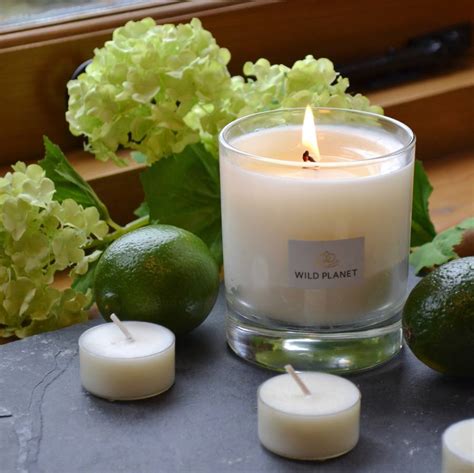 aromatherapy lime and bergamot scented natural candle by wild planet ...