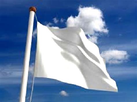 Plain White Flag 5ft x 3ft With Eyelets For Hanging | Party Supplies from Novelties Direct ...