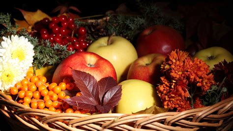 fruit, Still, Life, Apples, Berries, Berry, Nuts, Food, Leaves, Basket ...