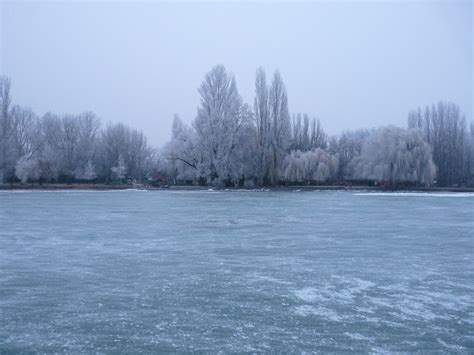 Balaton lake | Balaton lake on winter | Pusztai Atti | Flickr