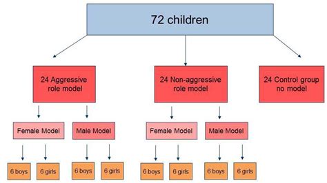 Bobo Doll Experiment | Simply Psychology