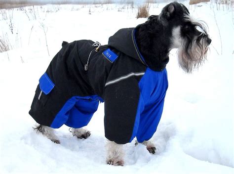 dog winter wear by Custom Dog Coats (@customdogcoats) | Dog snowsuit, Dog clothes, Cold weather dogs