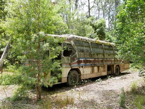 bus abandoned in the forest : Digital Photography Review