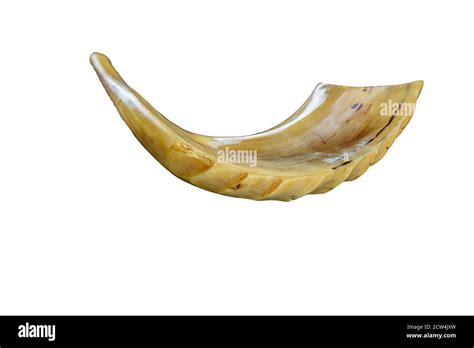 Shofar horn Cut Out Stock Images & Pictures - Alamy