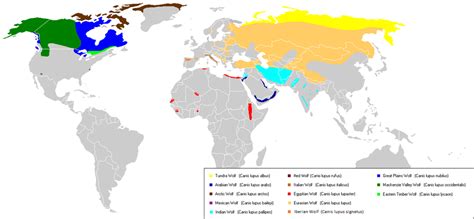 [OS] Present distribution of wolf subspecies [1357×628] : MapPorn