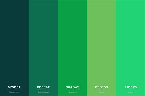 35 best green color palettes with names and hex codes – Artofit