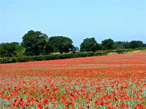 Heacham: Beaches & Family Fun in West Norfolk | Written by a Local