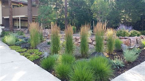 Xeriscape Colorado Springs | Colorado Xeriscaping - JakesDesigns