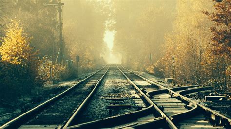 train, Railway, Tracks, Forest Wallpapers HD / Desktop and Mobile Backgrounds