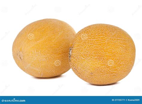 Yellow melon isolated stock image. Image of background - 27725771