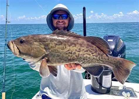 Top 15+ Types of Grouper to Catch in Floridaouachitaadventures.com