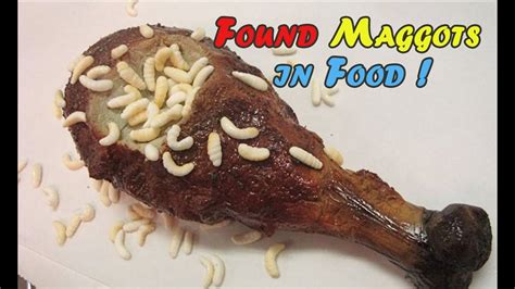 SICKENING ! FOUND MAGGOTS IN DAILY FOOD - YouTube