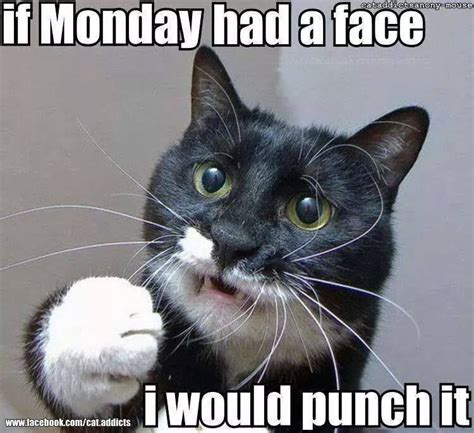 If Monday Had A Face, I Would Punch It Pictures, Photos, and Images for Facebook, Tumblr ...