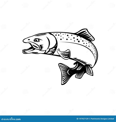 Chinook Salmon Or King Salmon Vector Illustration Clip Art ...