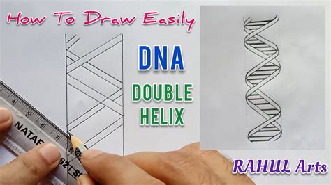 How to draw DNA double helix structure - YouTube