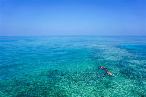 Best Snorkeling Along the Kauai Island Coast