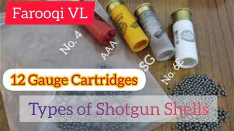 12 Gauge Shotgun Shells (Four Types of Common 12 bore shotgun ...