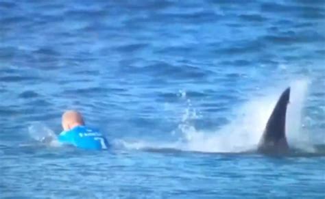 Australian surf star Mick Fanning attacked by shark on live TV | The ...