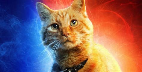 Captain Marvel: Everything You Need To Know About The Flerken