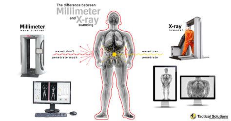 Full Body Screening - Tactical Solutions