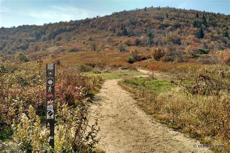 Hiking the Art Loeb Trail in Pisgah National Forest