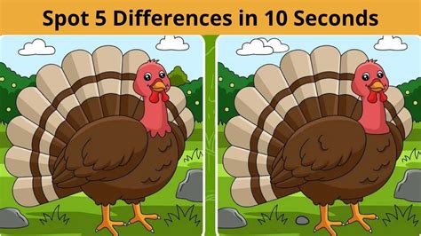 Spot the Difference: Can you spot 5 differences between the two bird images in 10 seconds?