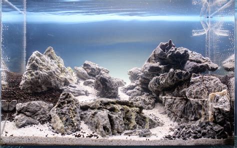 Seiryu Stone Aquascape Ideas - Aquascape Ideas