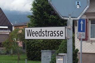 Weed Street | A oneway, except for cyclists in Heerbrugg. Pr… | Flickr